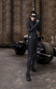 Batman Catwoman Exclusive Action Figure Collection