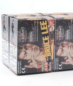 Bruce Lee  Kung Fu 4 Action Figures Collection