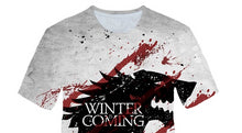 Load image into Gallery viewer, Game of Thrones Winter Is Coming T-Shirt Men