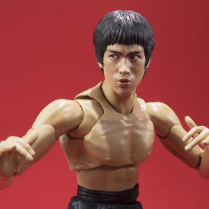 Bruce Lee  Kung Fu Action Figure Collection