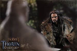 The Hobbit Thorin Oakenshield Exclusive Action Figure Collection