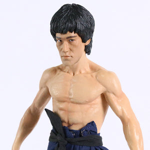 Bruce Lee Jet Kune Do Action Figure Collection