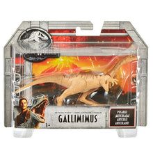 Load image into Gallery viewer, Jurassic World Gallimimus Action Figure