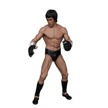 Load image into Gallery viewer, Bruce Lee Fighting Action Figure Collection