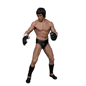 Bruce Lee Fighting Action Figure Collection