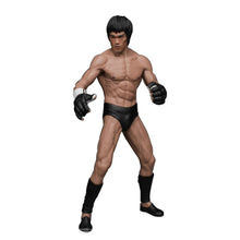 Load image into Gallery viewer, Bruce Lee Fighting Action Figure Collection