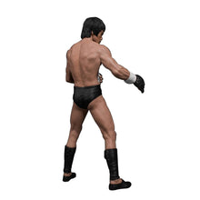 Load image into Gallery viewer, Bruce Lee Fighting Action Figure Collection